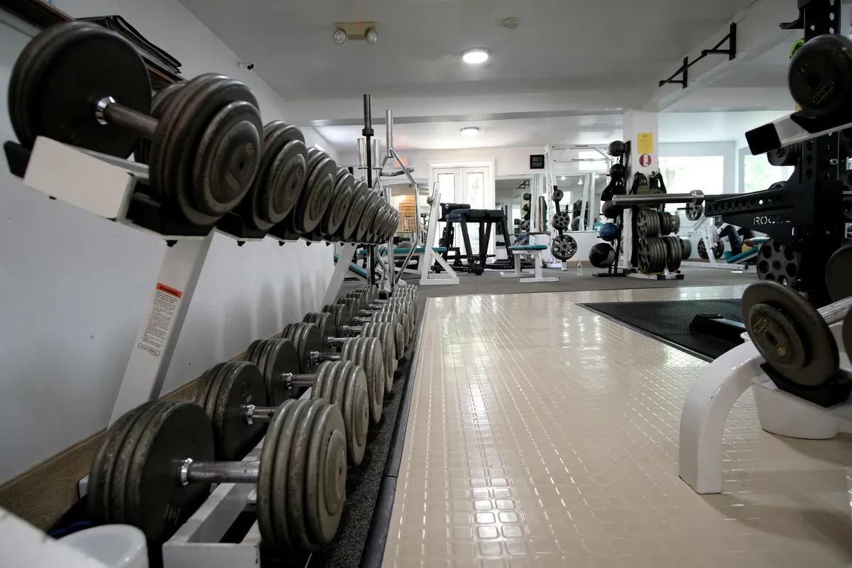 A long rack of dumbbells