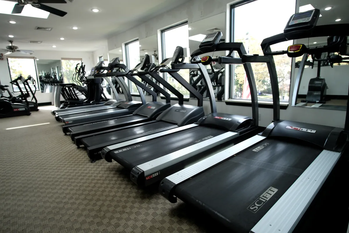 A row of treadmills by the windows